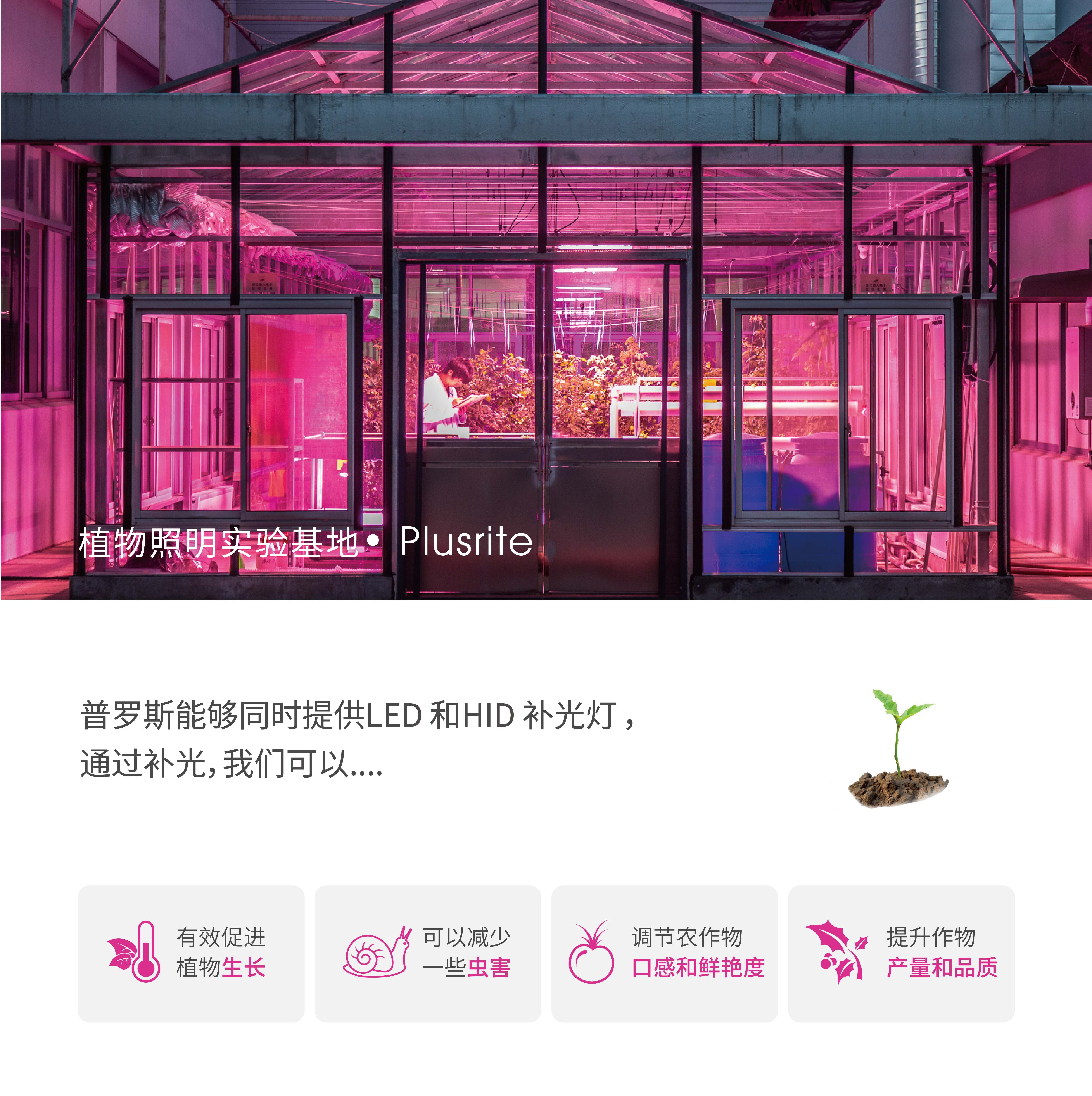 普罗斯邀您参加昆明国际花卉展03