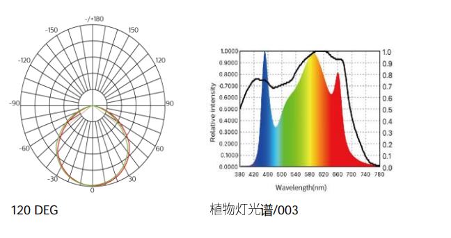 QQ截图20231124173242